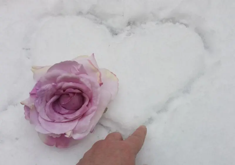 Condolence image of Dreikönigstag....