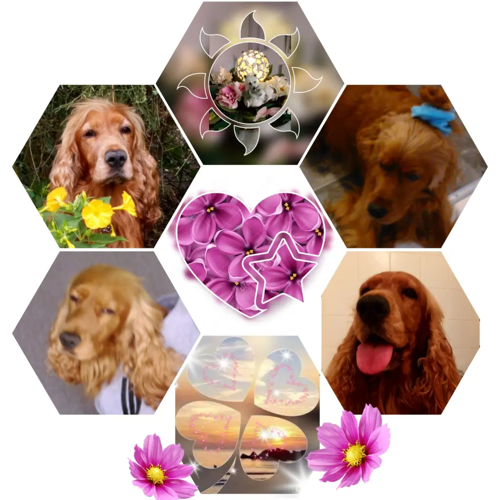 Condolence image of Mama in ewiger Liebe ❤