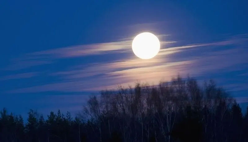 Condolence image of Mama in ewiger Liebe und Dankbarkeit ❤ 