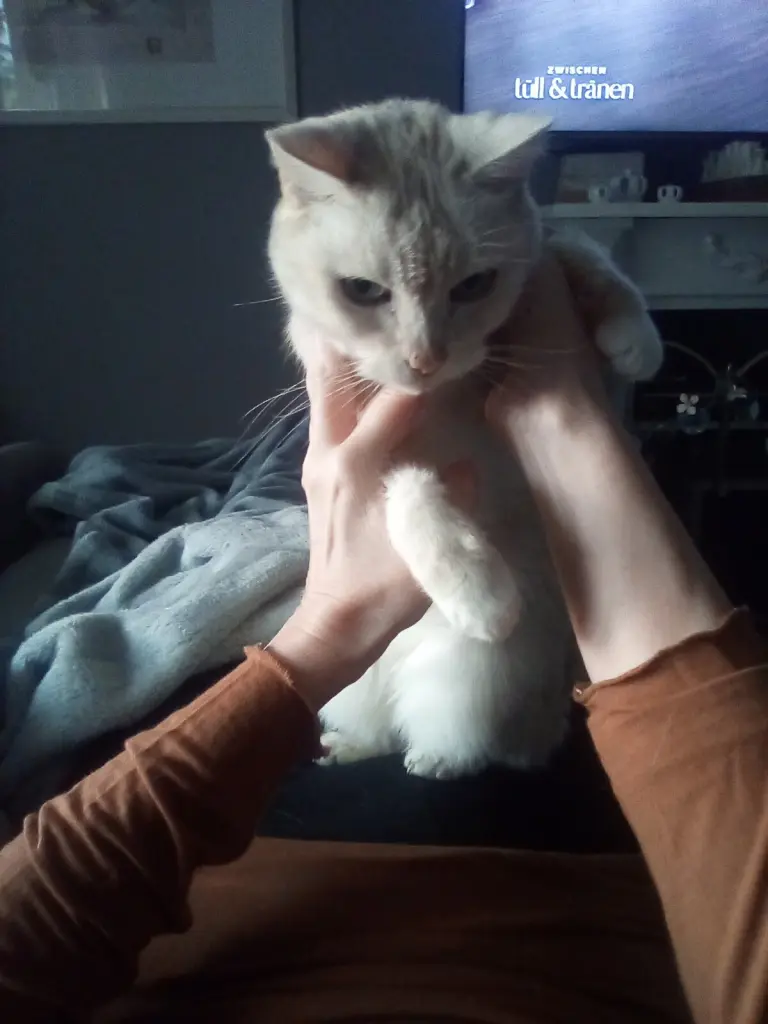 Condolence image of Beate mit Elvis im Herzen ❤