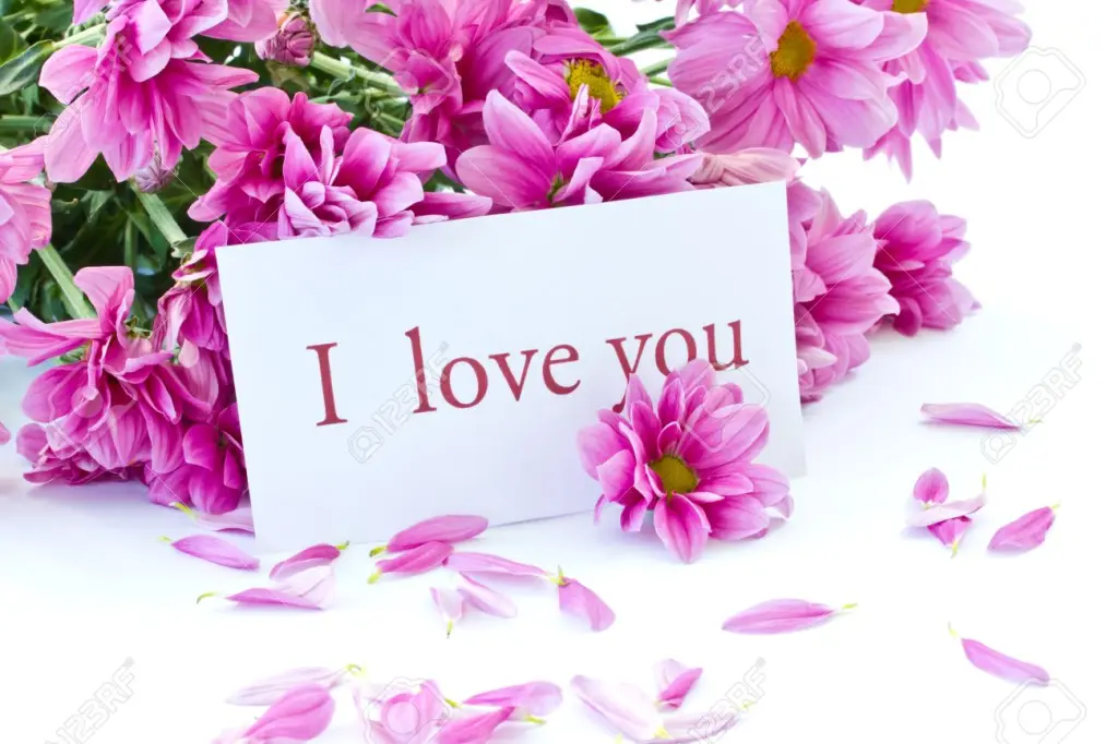 Condolence image of Mama in ewiger Liebe und Dankbarkeit ❤ 