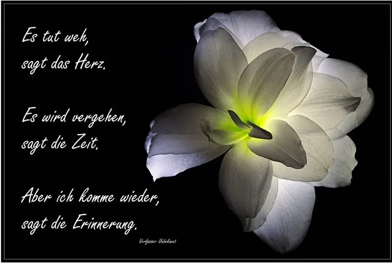 Condolence image of Deine Dich immer liebende Familie ❤️ 