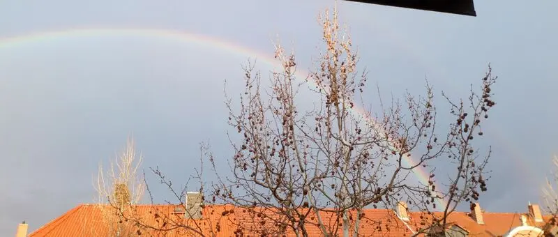 Condolence image of Signs from you ❤️ 