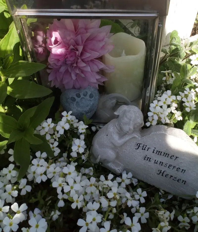 Condolence image of Mama in ewiger Liebe ❤ 