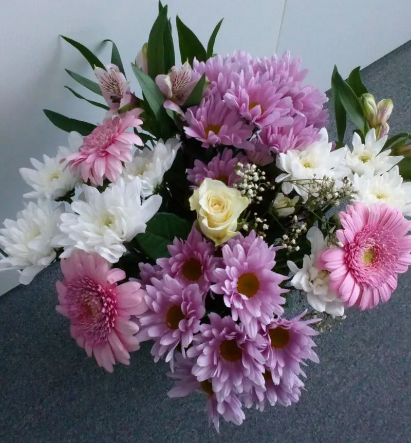 Condolence image of In ewiger Liebe ❤️ & Dankbarkeit 