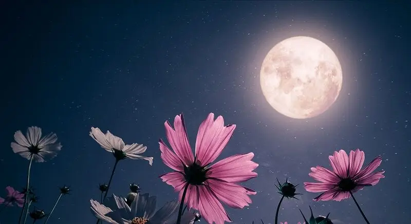 Condolence image of Mama & Papa in ewiger Liebe ❤️ 