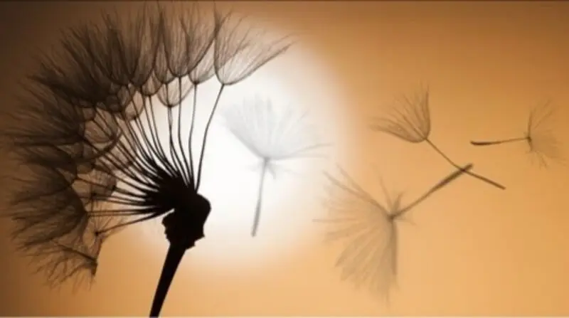 Condolence image of In ewiger Liebe ❤️ & Dankbarkeit 