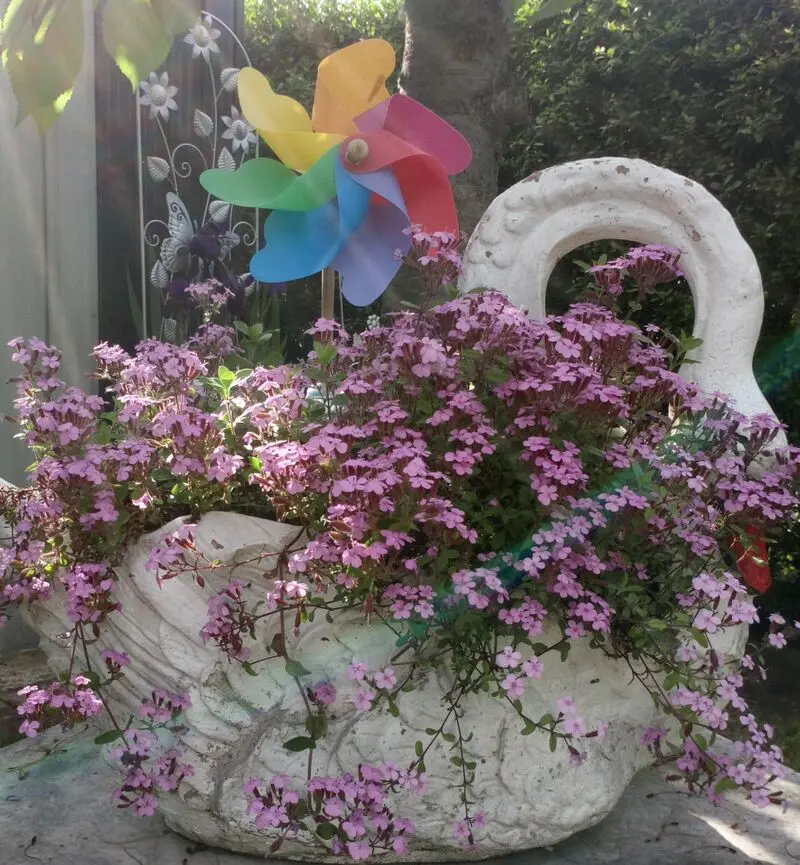 Condolence image of L❤️VE