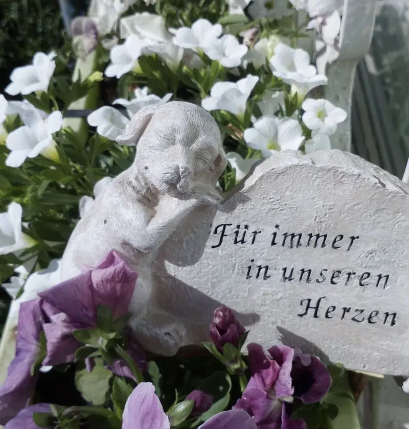 Condolence image of Herzlichen Dank.......