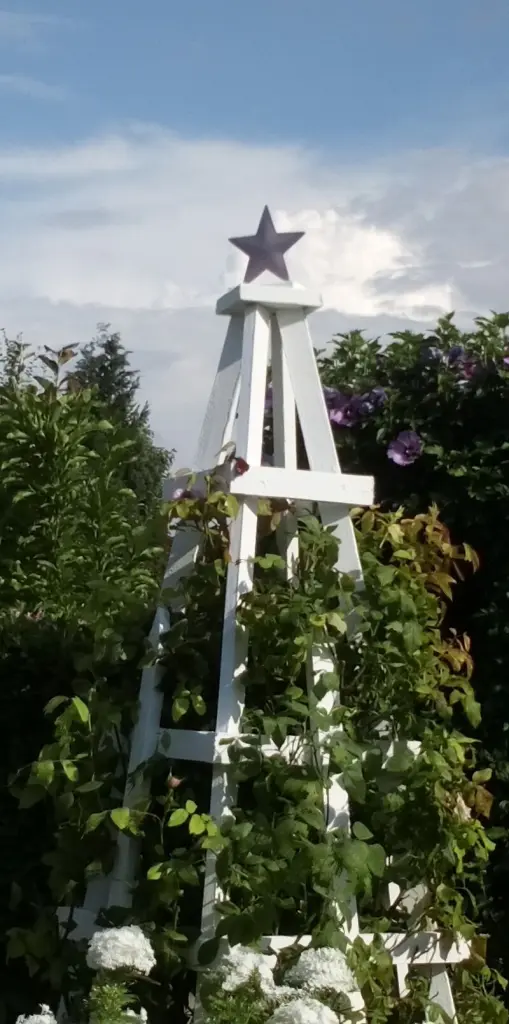 Condolence image of In ewiger Liebe ❤️ & Dankbarkeit