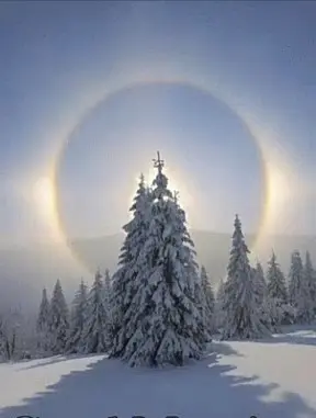 Condolence image of ☆ 1. Weihnachtstag ☆