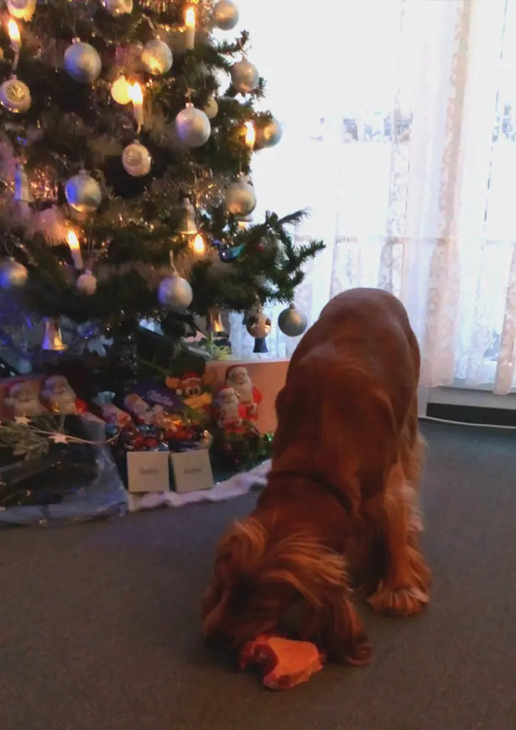 Condolence image of Es war einmal im Dezember...... ❤️ Ich vermisse Dich ❤️