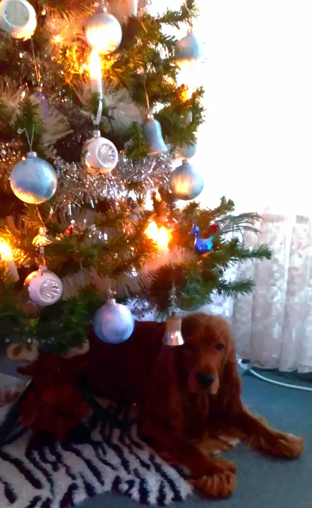 Condolence image of Deine traurige, DICH ❤️ immer liebende Mama