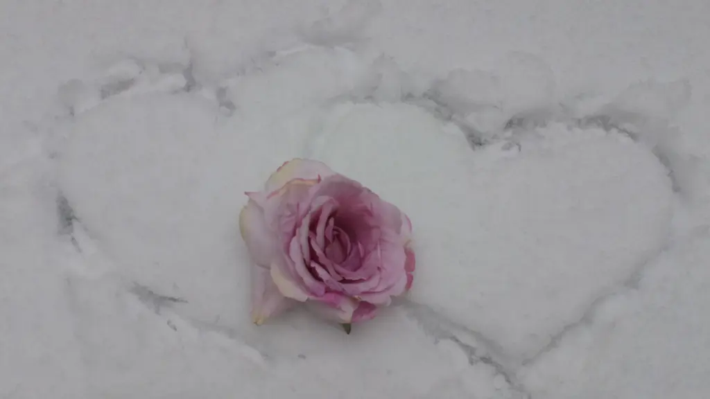 Condolence image of L❤️VE and MISS YOU ❤️... Miss you so much forever