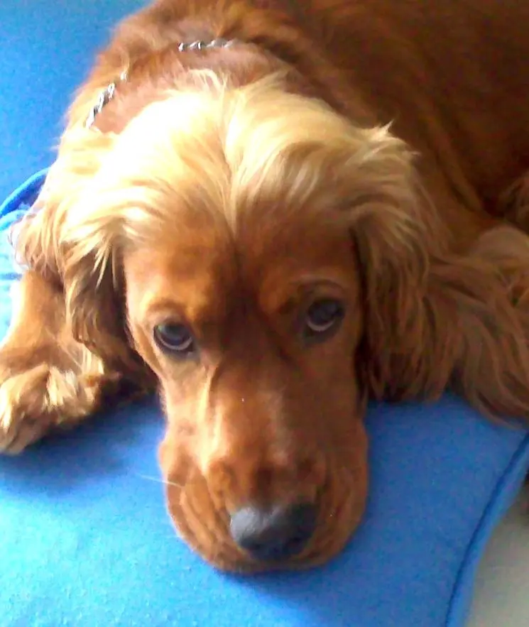 Image from ❀Diego❀