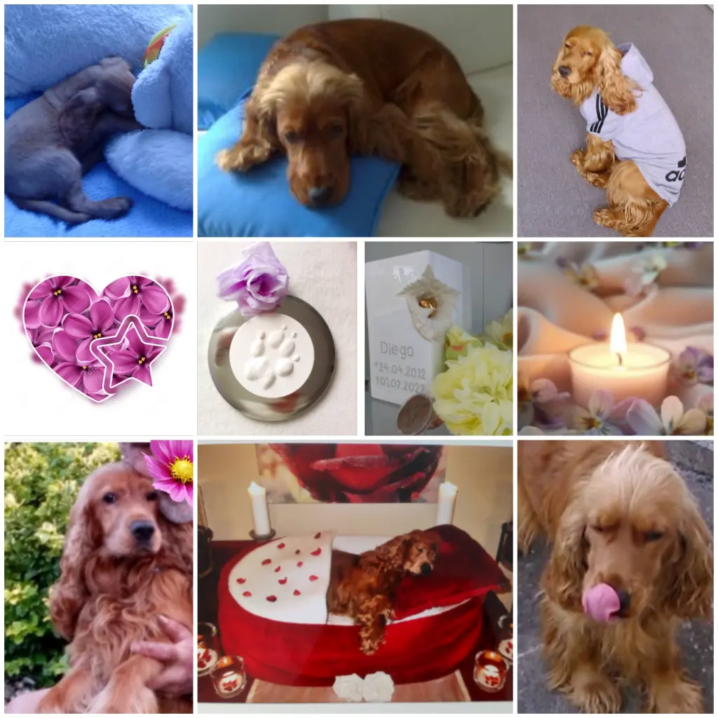 Image from ❀Diego❀