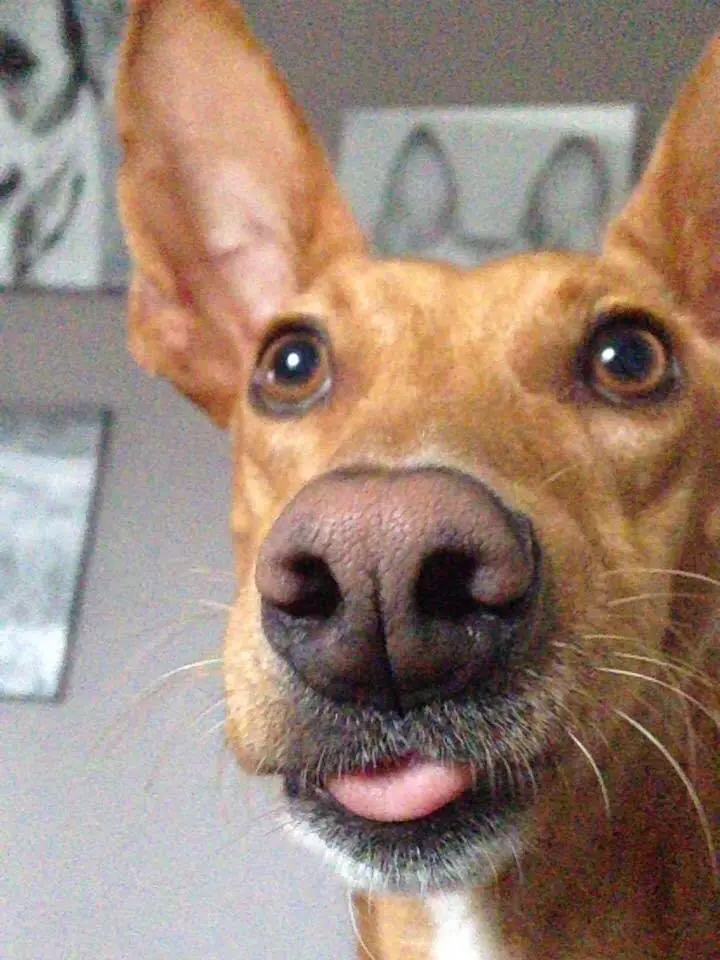 Condolence image of Achim