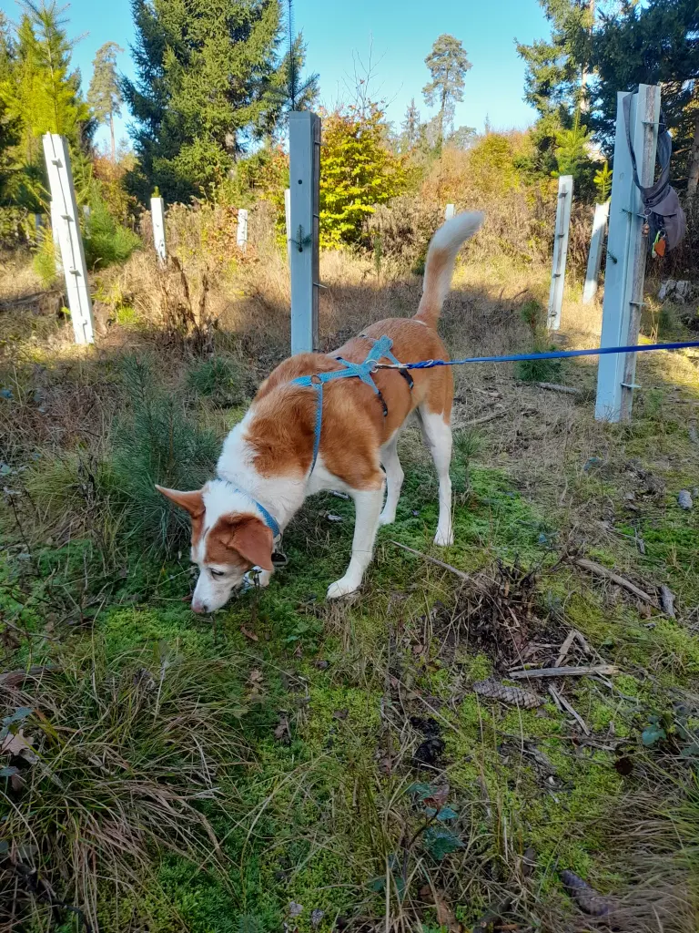 Condolence image of Nathalie Buck