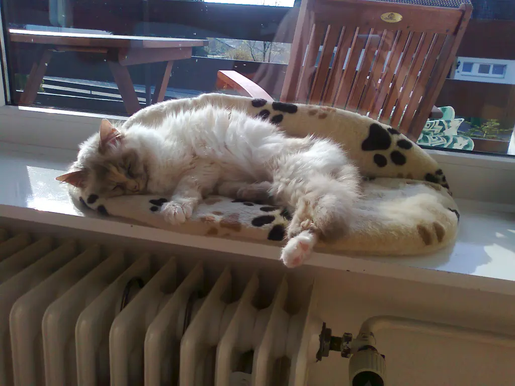 Condolence image of Heike & Micha