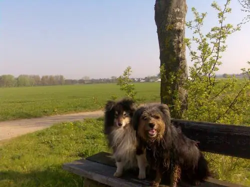 Image from Arno
