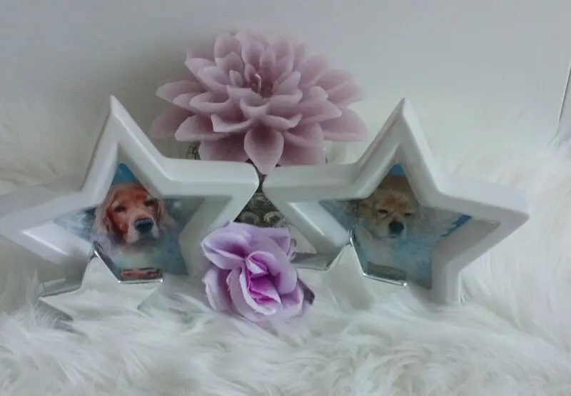 Andachtsbild von Jacqueline mit Diego & Aro tief im Herzen 