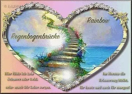 Condolence image of dein Frauchen