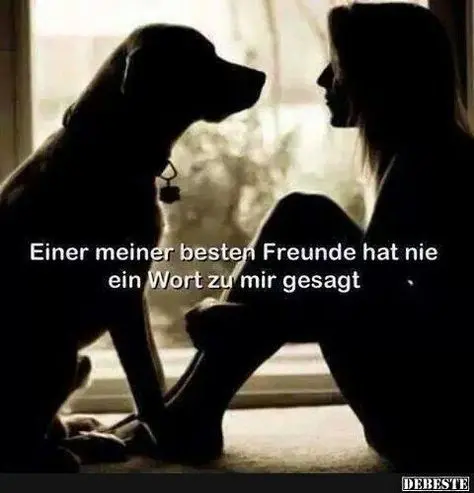 Condolence image of dein Frauchen