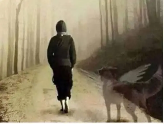Condolence image of Dein Frauchen