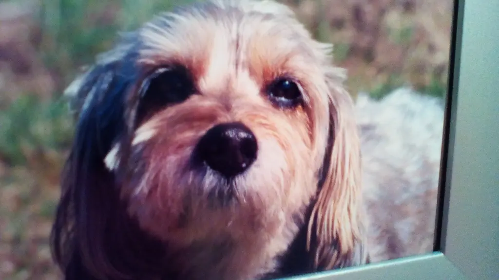 Condolence image of Ulrike