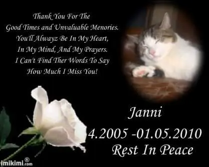 Image from Janni