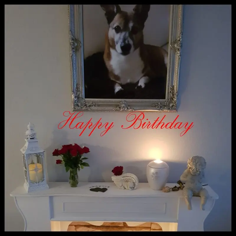 Condolence image of Susanne
