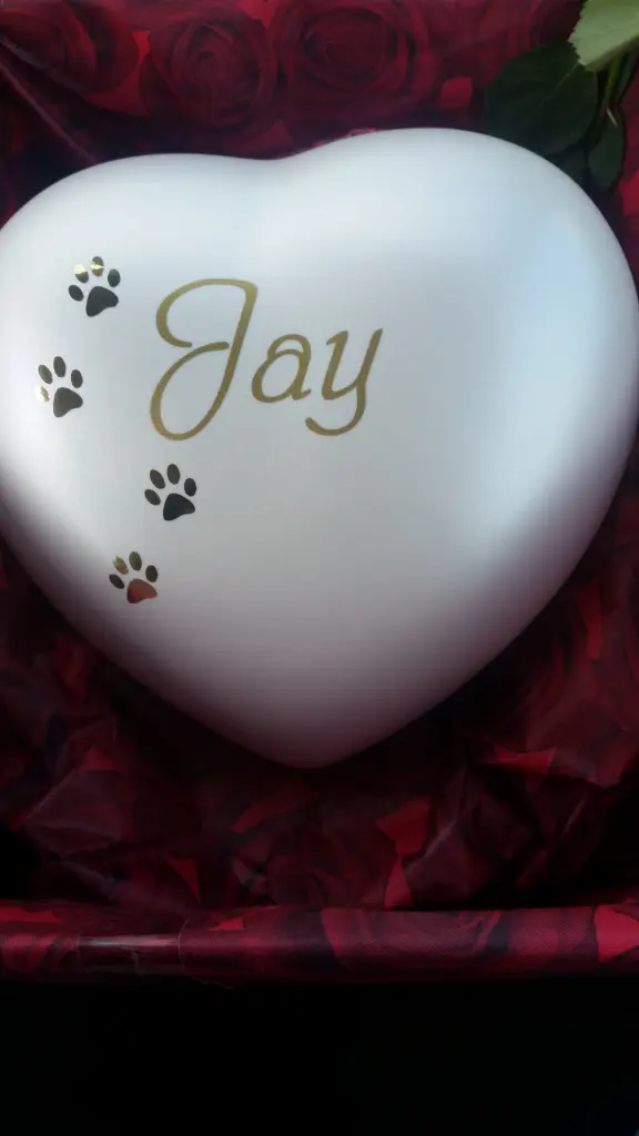 Image from Jay