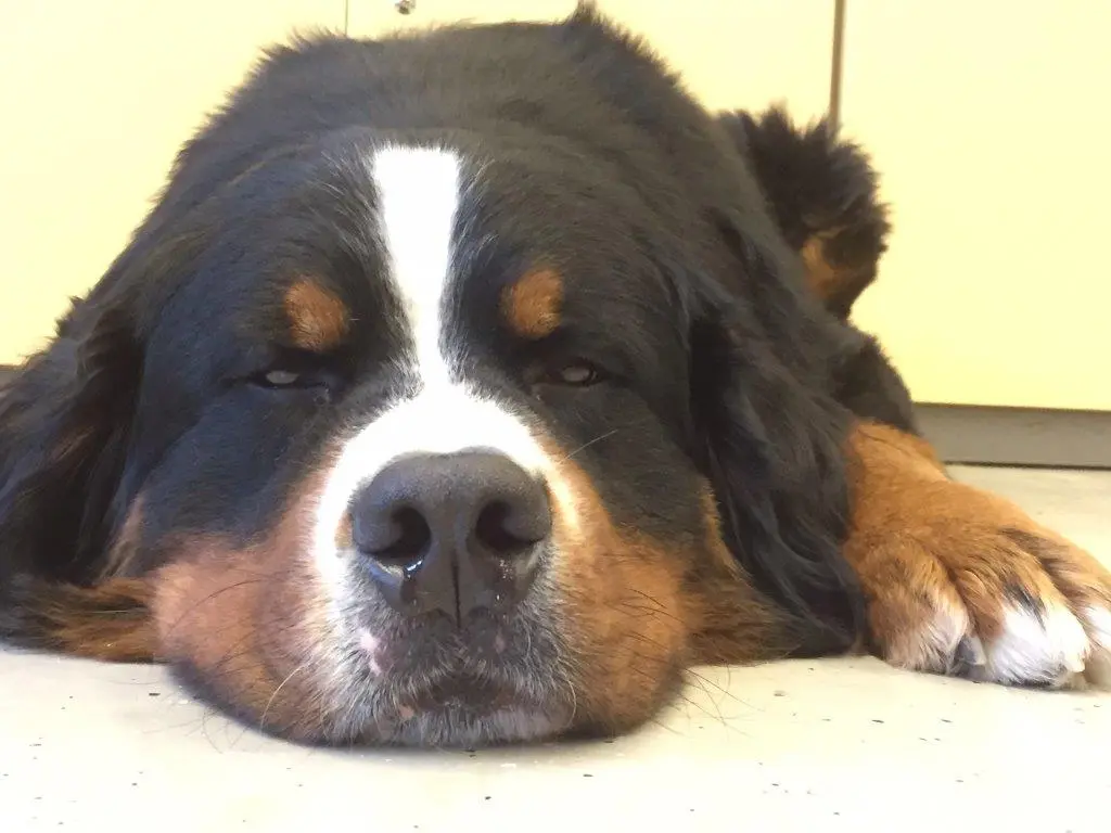 Andachtsbild von Rainer Hein