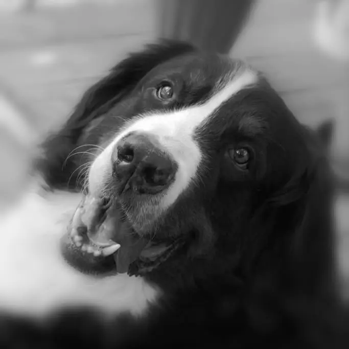 Andachtsbild von Manuela