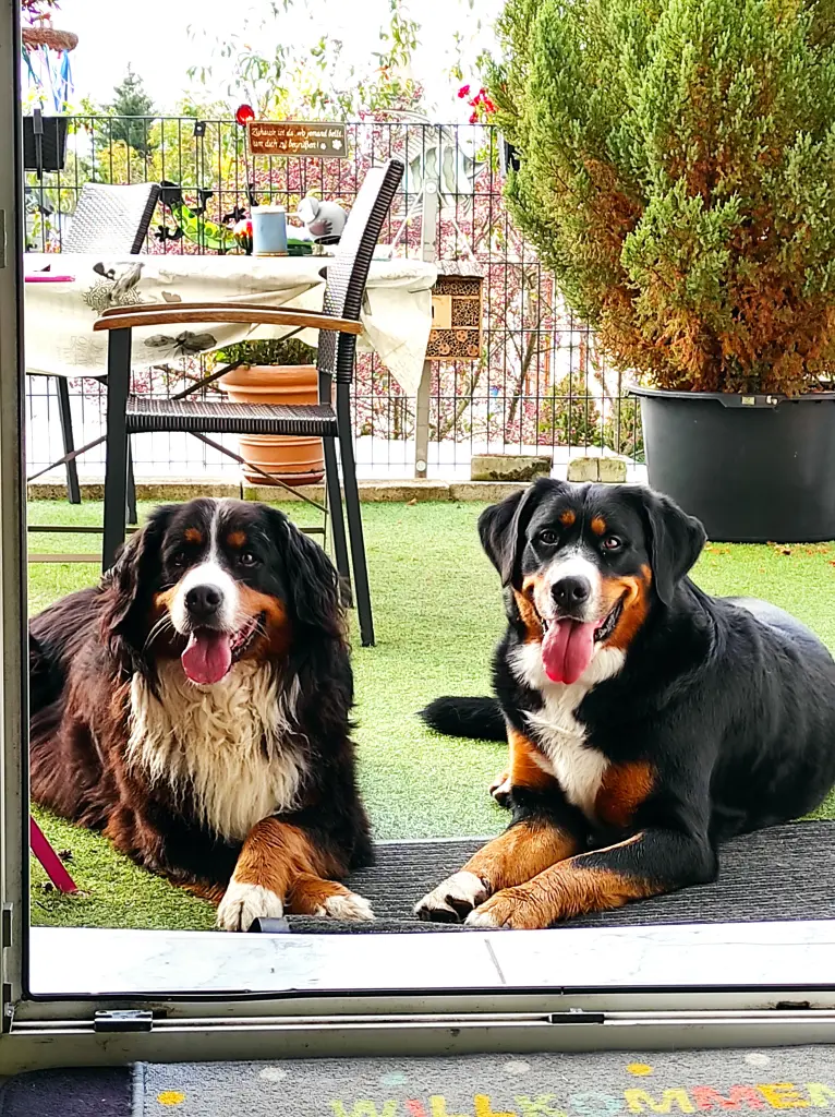 Andachtsbild von Tatjana  Knüpfer