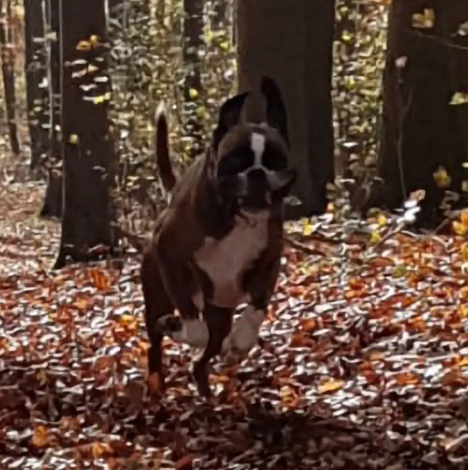 Andachtsbild von Karina und Jörg mit Floyd im ❤ 