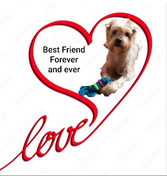 Andachtsbild von Krzysztof und Ewa mit Jacki tief im Herzen ❤