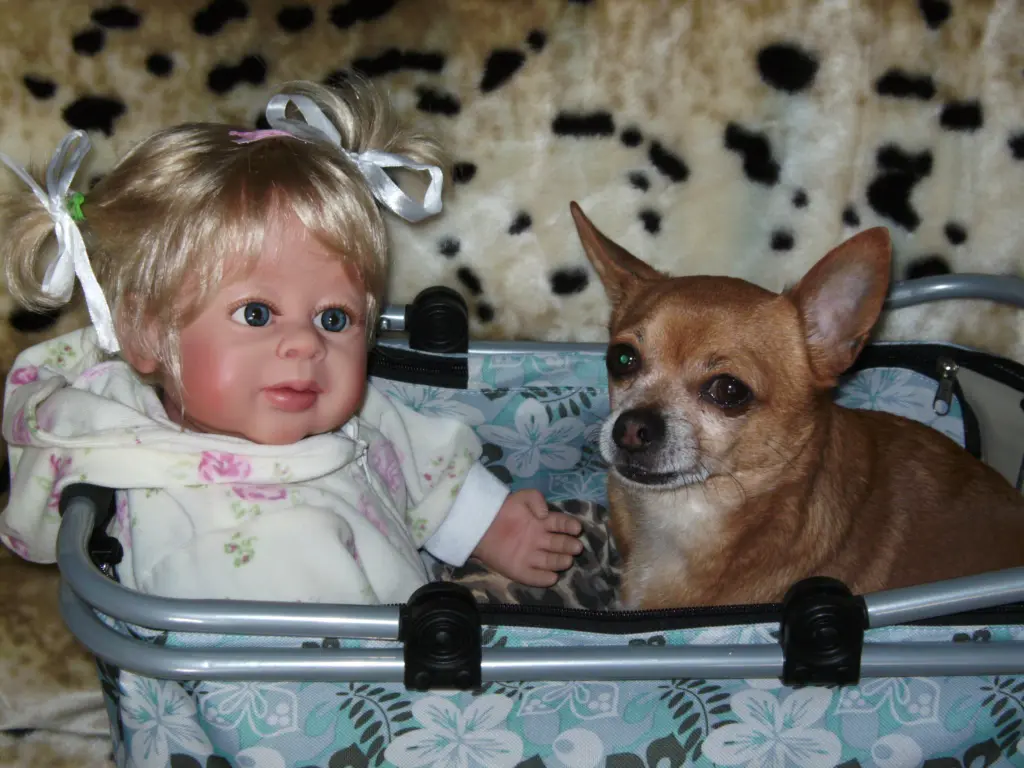 Andachtsbild von Irene mit Seelenhund * Jimmy * ganz tief im Herzen