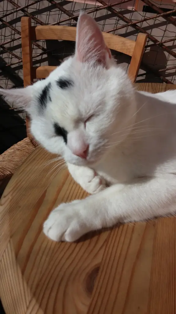 Andachtsbild von Peter Hofmann