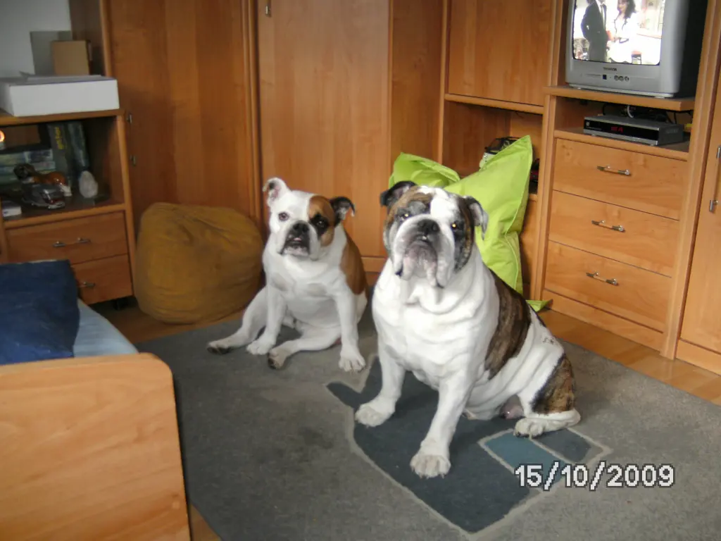 Image from Bella