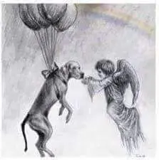 Condolence image of Birgit Busche