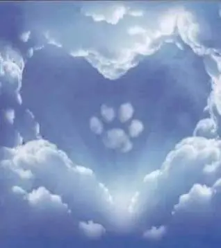 Condolence image of Manuela