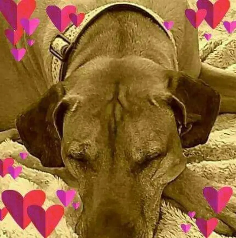Condolence image of Erika