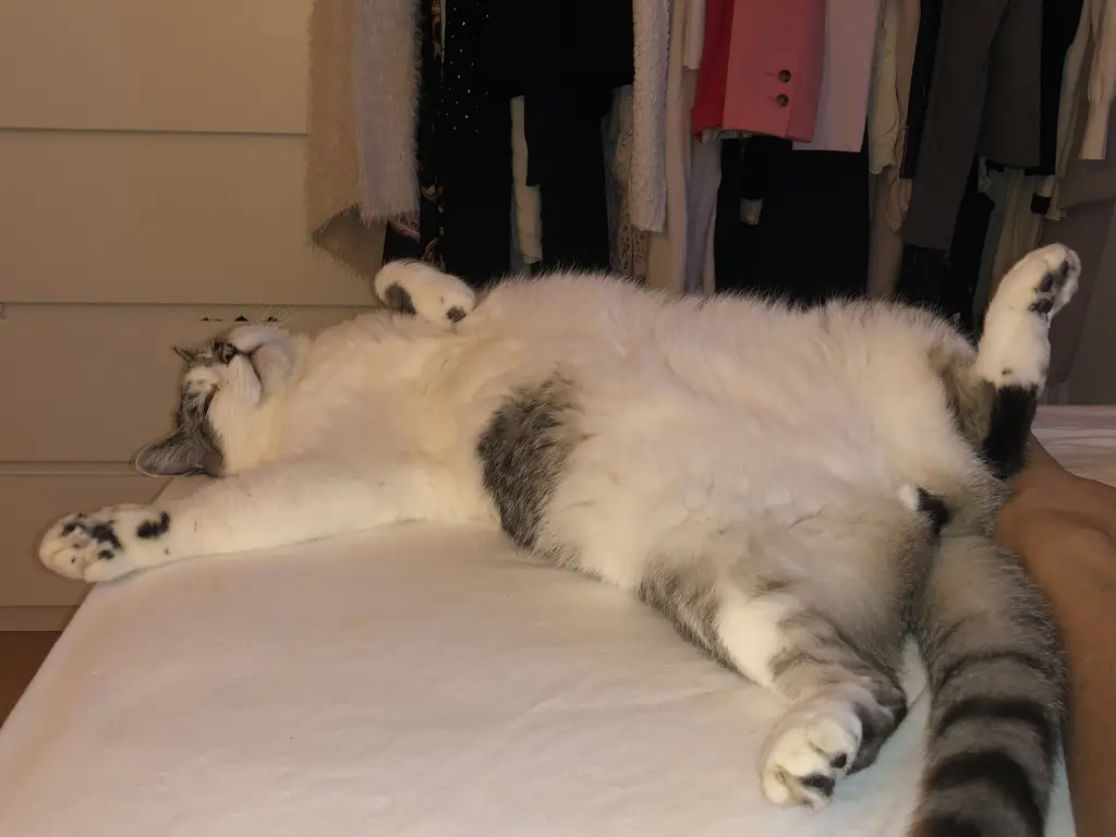 Andachtsbild von Sybille 