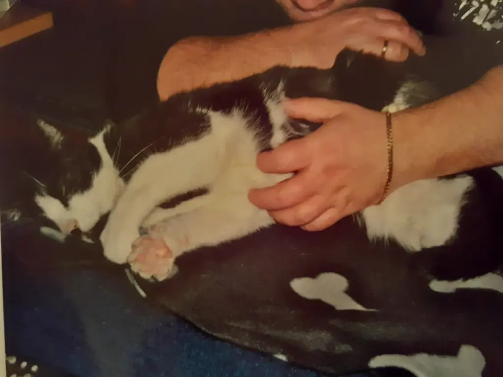 Condolence image of Jacqueline und Markus
