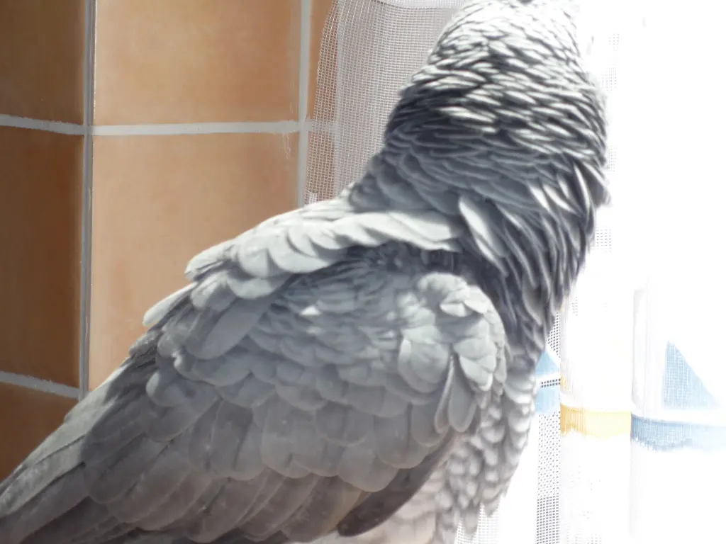 Condolence image of Jutta