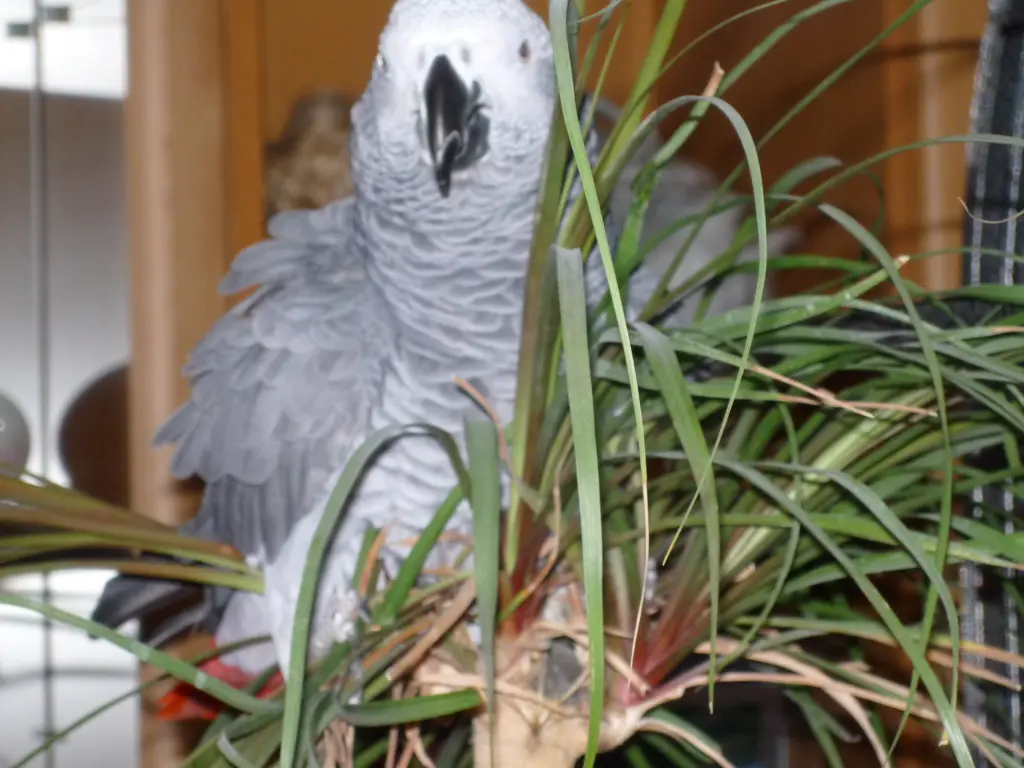 Condolence image of Jutta