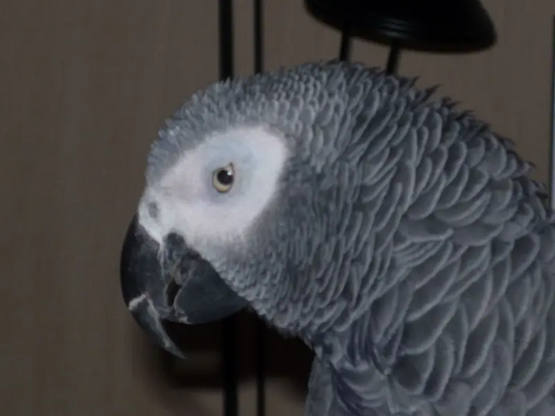 Condolence image of Jutta