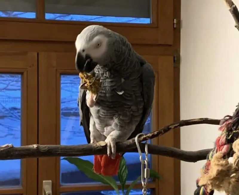 Andachtsbild von Ramona Meiners