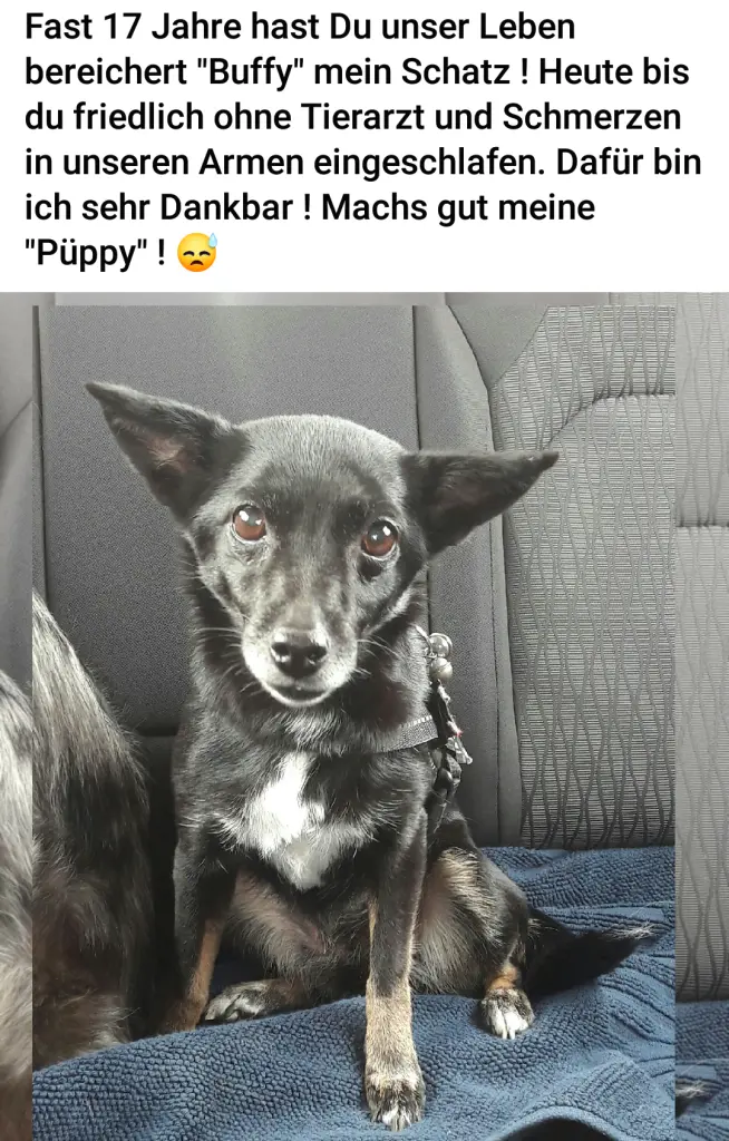 Condolence image of Martin Kröseler